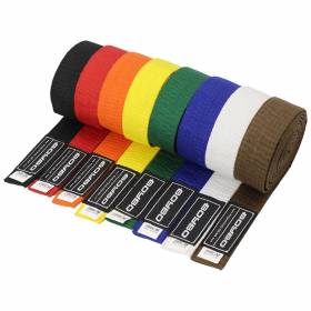 Пояс для единоборств BoyBo BW280 2.8м